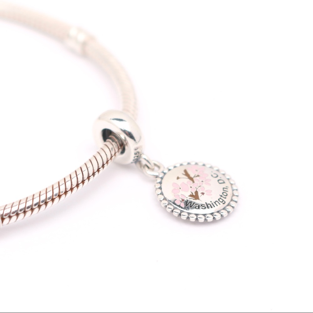 RARE Special Edition PANDORA Washington DC Dangle - Picture 6 of 13
